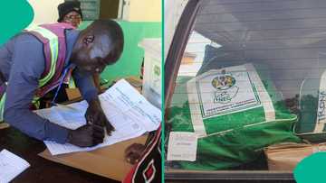 Full list of states where INEC will conduct elections in September, 2026