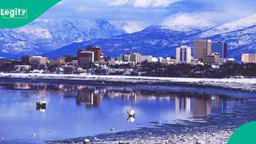Alaska: Reason why US bought an entire state from Russia for $7.2 Million
