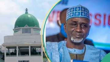 Abin da ya sa ba a bukatar ‘Yan majalisa da Sanatoci 460 a - Tsohon Sanata Shekarau