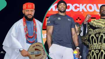 Anthony Joshua vs Francis Ngannou: Backlash as Yul Edochie drums support for his favourite boxer