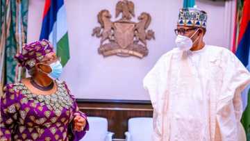 Nigeria's Trade cost too high to attract investments, Okonjo-Iweala tells Buhari
