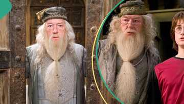 Popular Harry Potter actor Michael Gambon known for playing Professor Dumbledore dies at 82