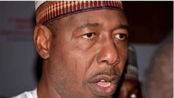 2023: Ku Dena Cewa Tilas Ne a Baku Mulki, Zulum Ya Gargaɗi Gwamnonin Kudu