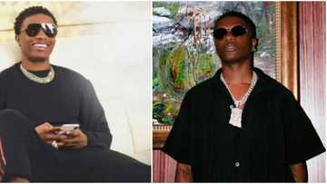 Davido charges more: Mixed reactions as Wizkid hints about charging whopping N500 million to perform at shows
