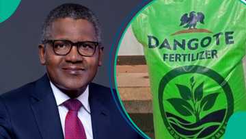 Dangote moves to build largest fertilizer factory, names location