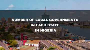 Number of local governments in each state in Nigeria 2024