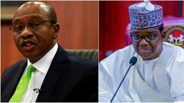 Why Buhari should stop Emefiele’s study leave before May 29, northern APC gov speaks