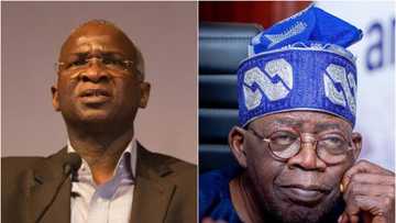 "Tinubu is very detailed": Top minister speaks on president-elect's work rate, pattern