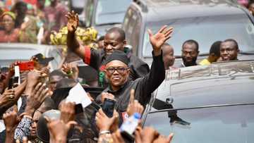 BBC says interest in Nigeria's 2023 elections has been spurred by Peter Obi