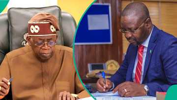 Bola Tinubu ya ɗauko Ministan Buhari, ya naɗa shi a babban muƙami bayan korar ministoci