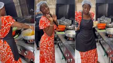 "Foods plenty for Nigeria o": Full list of assorted meals Hilda Baci cooked for over 100 hours exposed