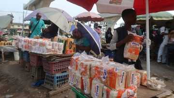 Graduate resigns bank job to become bread hawker, says decision turns out a blessing as he saves N5,000 daily