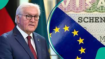 Germany explains 1 thing Schengen tourist visa holders cannot do when they enter the country