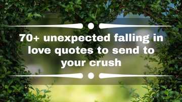 70+ unexpected falling in love quotes to send to your crush