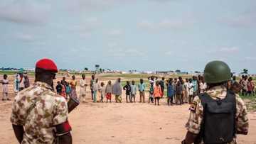 Nigerian military arrests two female logistics suppliers of Boko Haram terrorists