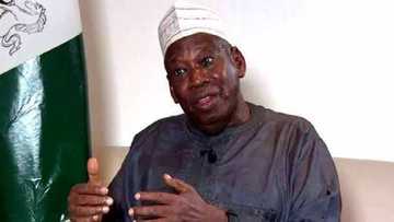 Ana iya amfani da NIN don gano ɓata-garin makiyaya, in ji Ganduje