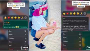"That time was love": Nigerian lady leaks chat with her ex-boyfriend after telling him to return her innocence
