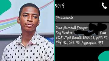 UTME 2025: Candidate who taught other students how to pass JAMB scores 355 after scoring 311 in 2024