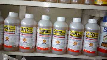 Magidanci ya kwankwadi 'sniper' bayan ya kama matarsa turmi da tabarya da tsohon saurayin ta (Hotuna)