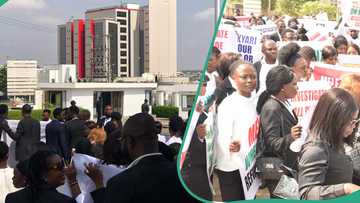 NNPCL's Mele Kyari In trouble as group submits petition to EFCC, "There is credible Information“