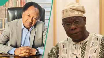 “How I prevented Kirikiri inmates from attacking Obasanjo”: Shehu Sani spills