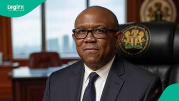 "Why Labour Party lawmakers defected and abandoned Peter Obi," LP chieftain explains