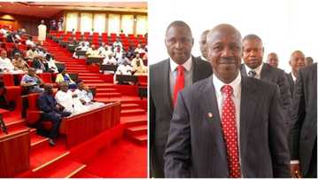 Sai an tsige Magu kafin 29 ga watan Mayu - Wasu gwamnoni na Sanataco na shirya tuggu