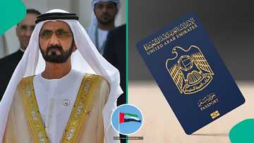UAE lists 2 ways a foreigner can lose citizenship after it is granted