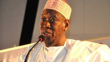 Rerun election: Gov. Ganduje takes massive steps for his victory in Kano communities with cancelled votes