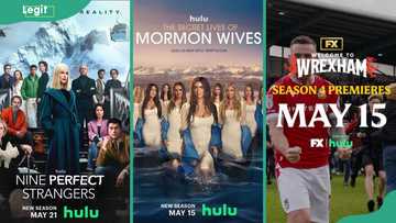 What's new on Hulu in May 2025: 15th to 31st new shows and movies to look out for