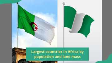 Largest country in Africa in 2024: ranked by population and land mass