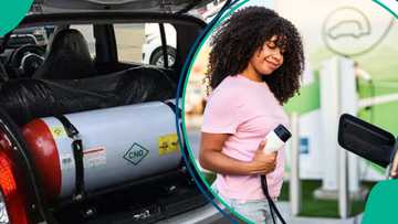 FG launches facilities to get cheaper fuel as Dangote, other depots change price