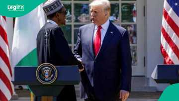 Yadda ta kaya tsakanin Buhari da Trump a fadar White House kan zargin kisan Kiristoci a Najeriya