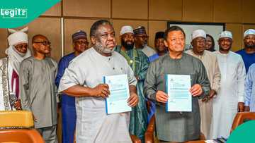 Matasa 50,000 za su samu aiki a hadakar noman da Dangote ya yi da Neja