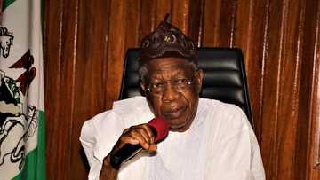 Lai Mohammed: Northern Emir to Turban Information Minister as ‘Kakakin Kebbi’