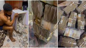 "You can buy Benz": Nigerian man breaks his piggy bank, counts N5.5 million he saved, video causes frenzy