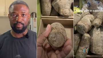"The price chased me home": Nigerian man sees yams for sale in Canada, flees market after hearing high cost