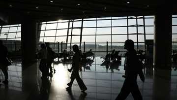 Consumer groups want airlines to pay for baggage fees 'distress'