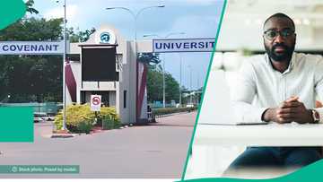 Man who wanted to become lecturer at Covenant University mentions bank offer that killed that dream