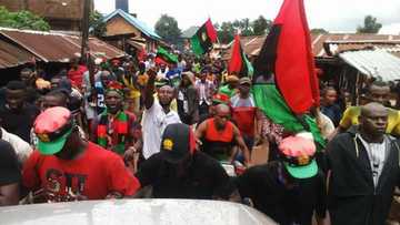 Breaking: Nigerian troops arrest 20 suspected IPOB members, recover arms