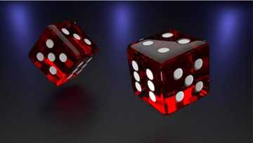 The Future is Now: How Online Casinos Are Proving Technology’s Worth