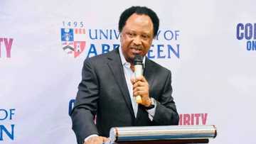 IPOB, Sunday Igboho or Bandits? Shehu Sani reveals worse security risk