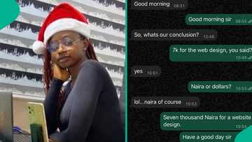 Website designer shares baffling chat with male client who texted her on WhatsApp: "I'm dead"