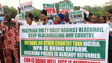 Pro-Buhari group holds unity rally in Abuja, passes vote of confidence on president