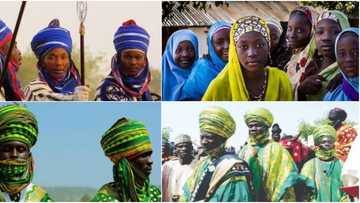 Kabilar Hausa: Kabilar da ta fi kowacce yawa a nahiyar Afrika