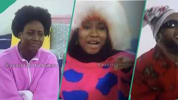 Tears, & laughter flow as families of BBNaija All-Stars send housemates sweet messages, clips trend