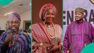 Yoruba council alleges ethnic bullying of LASU lecturer, sends message to Ohanaeze Ndigbo