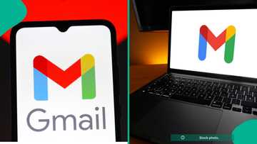 All 1.8 billion Gmail users get warning to avoid falling victim to new trick used by scammers