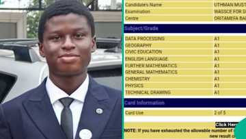 Exclusive: 2025 WAEC candidate who got A1 in all subjects shares study secrets, dream course in UI