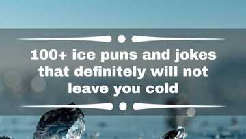 100+ ice puns and jokes that definitely will not leave you cold